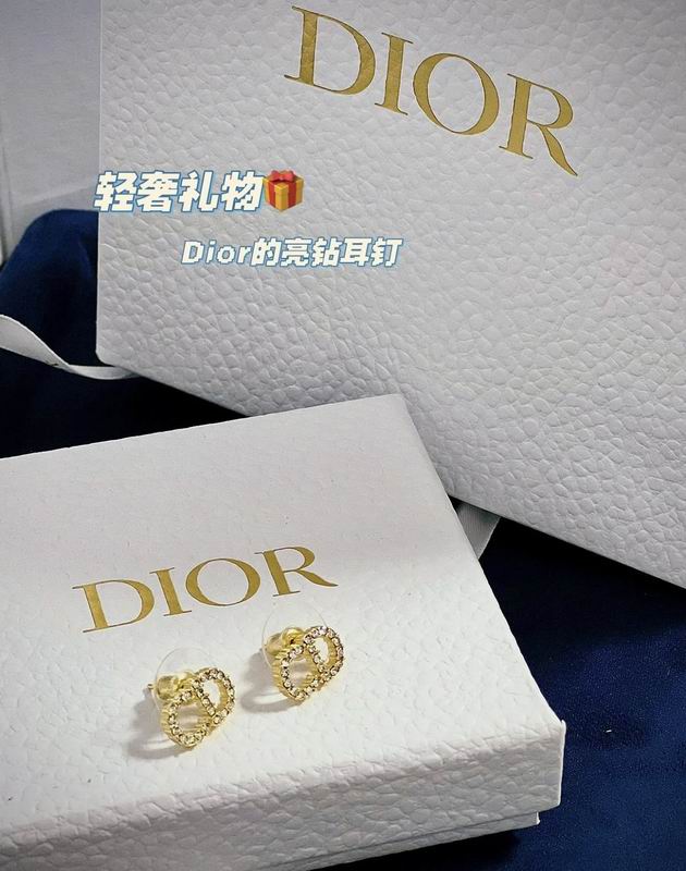 Dior Earring 04lyr381 (1)